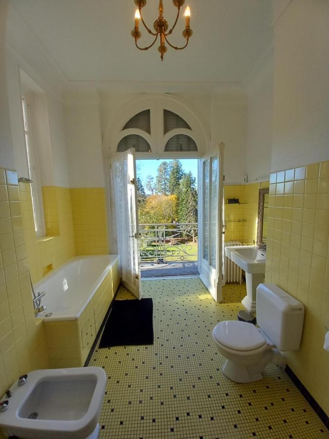 Chateau Maleplane Bed & Breakfast Saint-Leonard-de-Noblat Ngoại thất bức ảnh