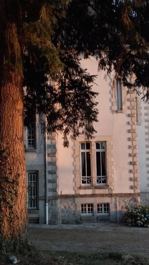Chateau Maleplane Bed & Breakfast Saint-Leonard-de-Noblat Ngoại thất bức ảnh
